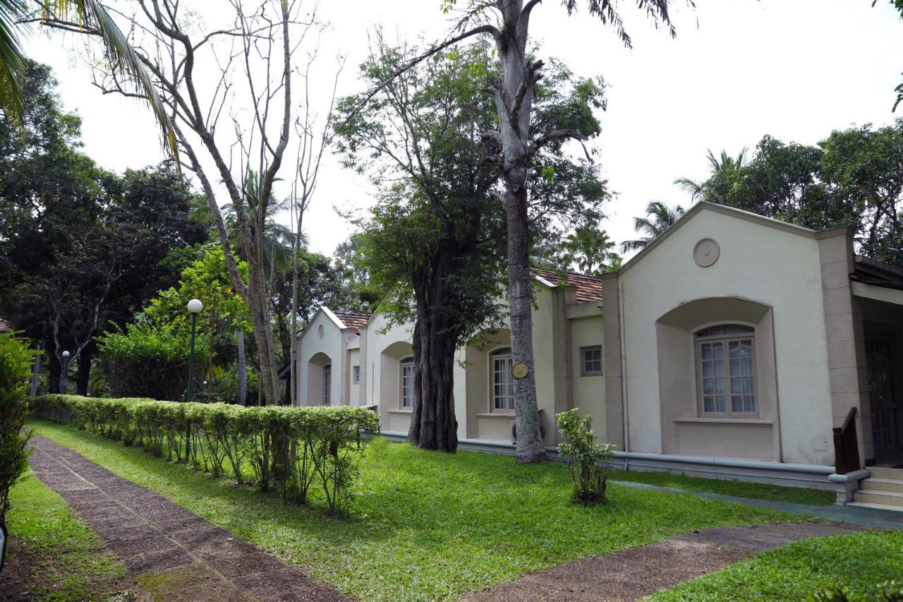 Tamarind Tree Garden Resort - Katunayake Negombo Extérieur photo